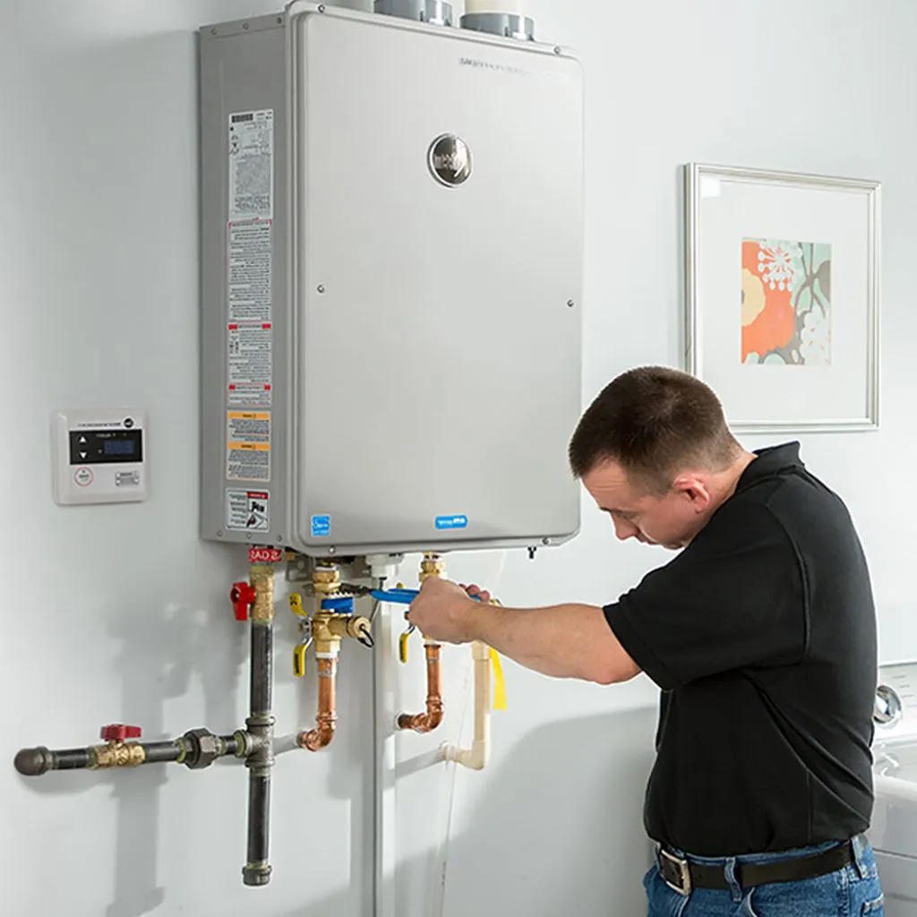 tankless water heater repair in Alanreed, TX